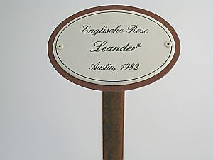 Emailschild oval, 10,5 x 7 cm, Rosennamen mit Erdspieß 50 cm